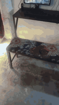 للبيع شلعه كاملة العنوان بغداد الدورة للاستفسار الاتصال على الرقم 
***********
