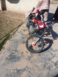 مراوس 2023 • فول أوراق • بسمايه بغداد