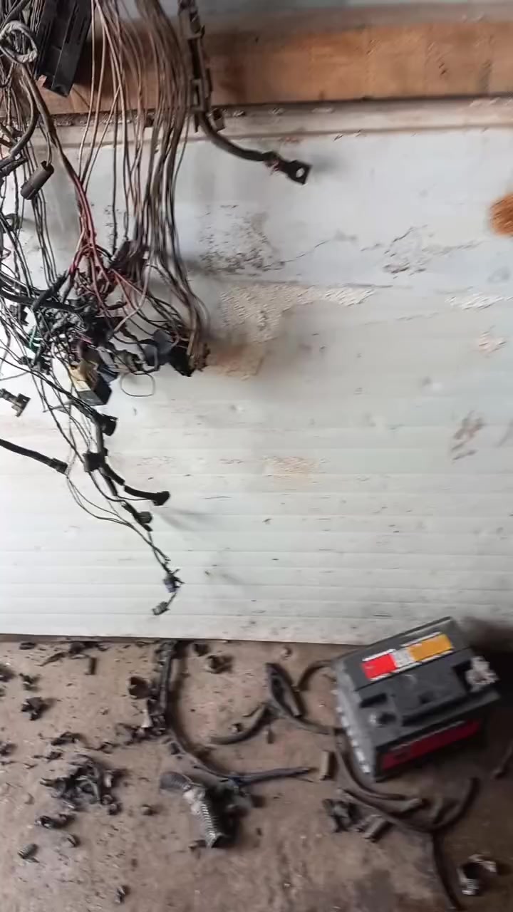 سلام عليكم اليوم عدنه رينو بيه ضفيرة تعبانه رتبناه كلشي يخص الرينو سلف داينمو مال تفصيخ مراوح متوفرة فيتر حداديه صدر كهربائي تبريد مكاني تقاطع درويش حي التراث مجاور حسينيه سيد جبار   حسن ابو مرتضى  هاذ رقمي ***********
