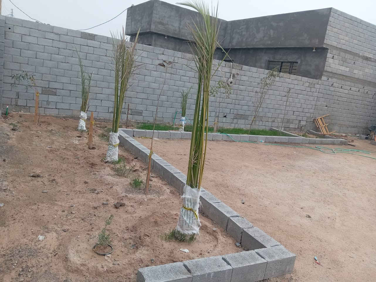 سلام عليكم رمضان كريم وكل عام وانتم بخير قطعه زراعي للبيع المساحه 250 ماء وكهرباء القطعه مسيجه بالكامل وبيها باب مثل ماموضح بالصور المكان الزبير ورا حي الأندلس السعر 15 بيها مجال قليل ***********
