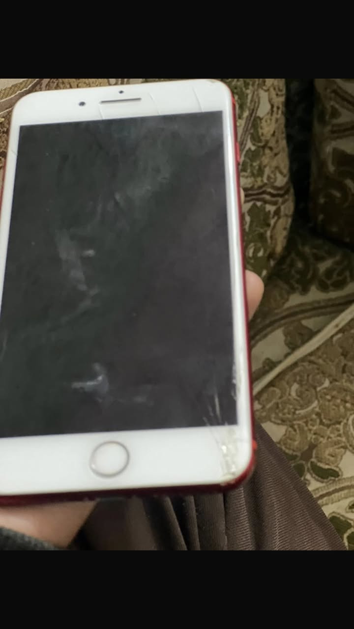 سبعة بلاس ذاكرة ١٢٨ بطارية ٧٥ فقط شاشة اصلية مبدلة ومفطر ما مأثر باللمس ابد اليريدة ينطيني ٦٥ قفل وياخذه او مراوس عادي


**إذا كنت صاحب هذا الإعلان وتريد حذفه لأي سبب، رجاءا أرسل رسالة إلى الدعم الفني**