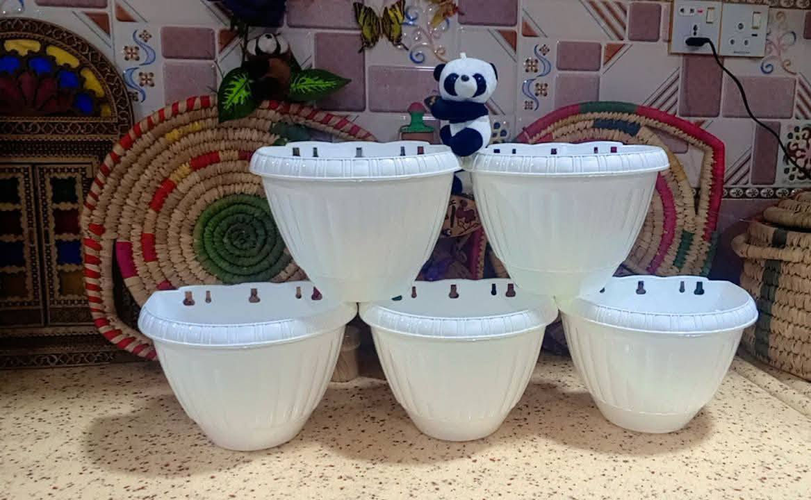 يتوفر لدينا جميع اكسسوارات نباتات 🕊️🐼🦊 توصيل كل محافظات العراق 🚕 
الزرع لعرض فقط 🪴 
يتوفر جمله ومفرد 🦊🐼 
سارع لحجز كميه محدوده 🎊 
حجز على خاص ☎️
☎️***********📞
