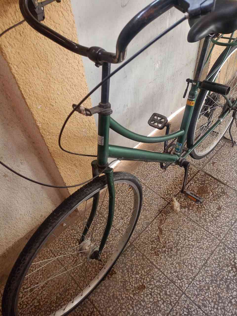 سلام عليكم
للبيع باسكل حجم27 
مكاني نجف حي السلام
السعر 60وبي مجال 
واتساب بكل وقت ***********
