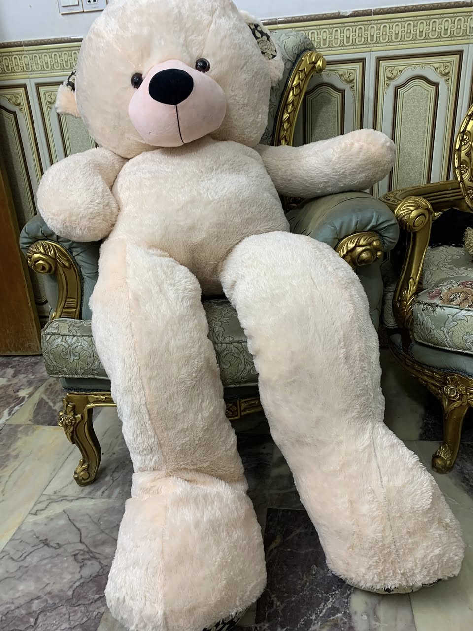 دب طوله ٢٠٠سم نضيف سعره ١٠٠ بي مجال


**إذا كنت صاحب هذا الإعلان وتريد حذفه لأي سبب، رجاءا أرسل رسالة إلى الدعم الفني**