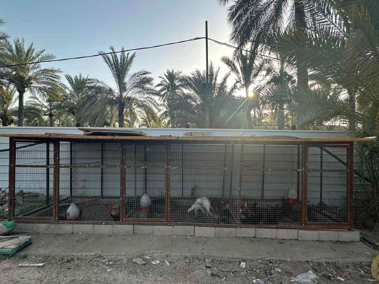 الطول ٦ متر ارتفاع ١,٥ 
مقسم ٣ خانات كل خانه ٢*٢ متر  مع سقف سندويج 
حديد ثقيل وBRC  القوي 
سعر ٣٥٠ الف

‭+964 773 373 3034‬ كربلاء, العراق


**إذا كنت صاحب هذا الإعلان وتريد حذفه لأي سبب، رجاءا أرسل رسالة إلى الدعم الفني**