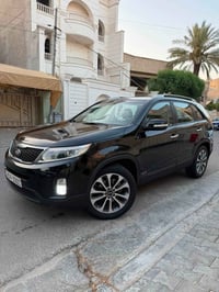 ٢٠١٤ • خليجي • ٧ راكب