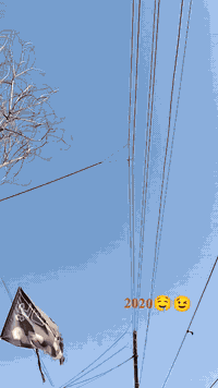 2020شهر 10اوراق اوراق كفاله الشراي يتصل 07824263956