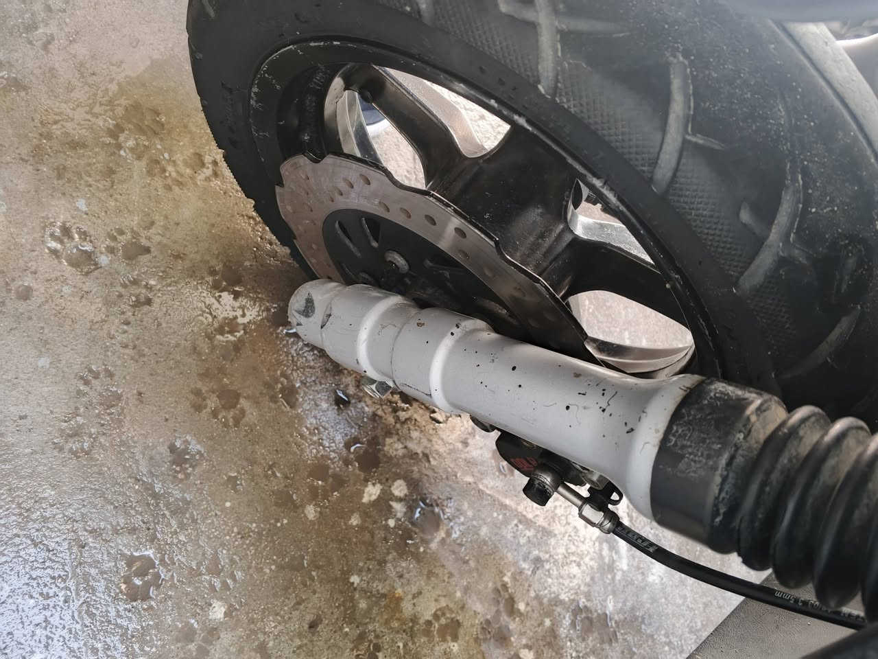 سلام عليكم دراجه للبيع جديده كله بلاديه دراجه شلعه ومعدل خير من الله نقص بس دشبول شراي خاص مكاني البياع ***********
