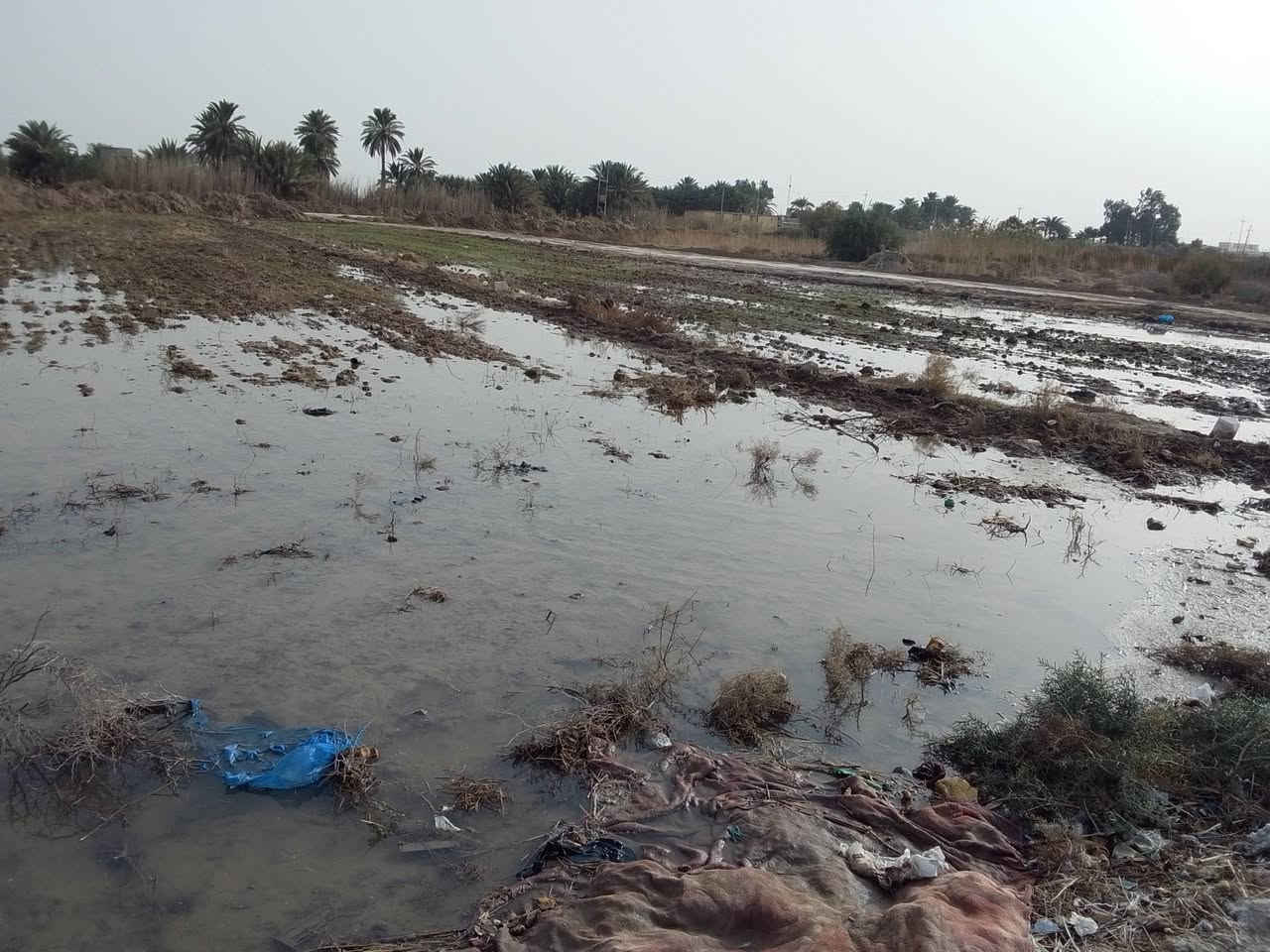 للبيع 2دونم معه بيوت 2 كهرباء وماء وجه عشارع السبيس الباح***********
