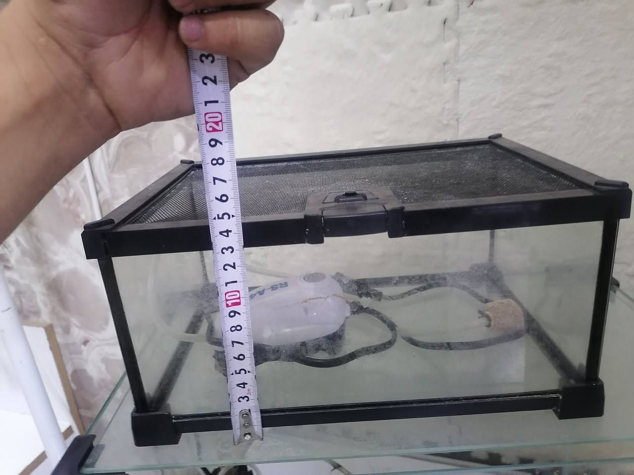 سلام عليكم ورحمة الله حبايبي هاذه حوضين للبيع كل حوض ويا فلتر خارجي سعر تعال خاص رخيص


**إذا كنت صاحب هذا الإعلان وتريد حذفه لأي سبب، رجاءا أرسل رسالة إلى الدعم الفني**