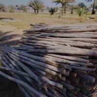 تكمه • ٣-٣٫٣م • بابل ابو غرق