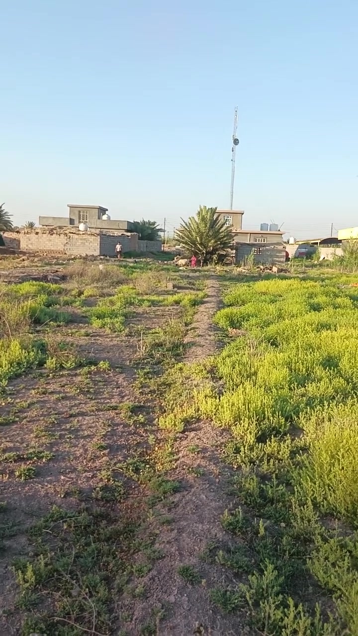 الرقم *********** لمعرفة التفاصيل 
دونم ونص زراعي سند ٢٥ تحويل مباشر يحتوي على بيت طابق واحد مسلح   مباشر عله الشارع العام الواجهه ٢٥ والنزال ١٤٠
