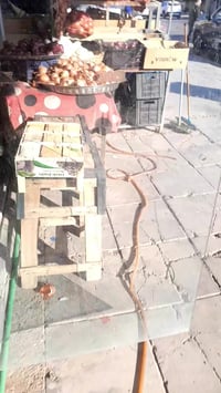 للإيجار • حي الجامعة • شارع ٦٦