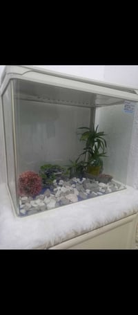 السلام عليك حوض سمج للبيع مستعجل ب30 07815550274