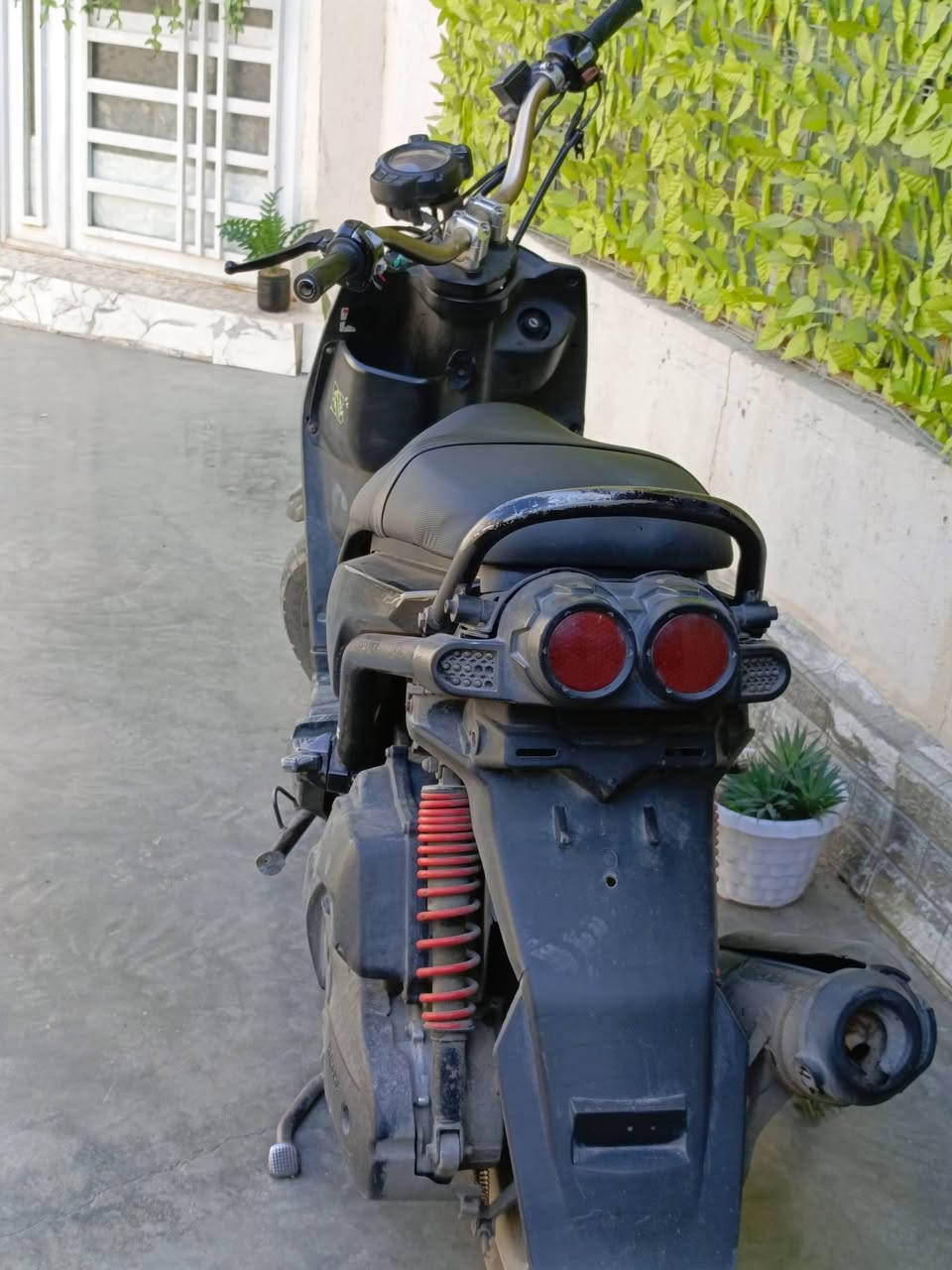 سكنس جبلي للبيع
📍المكان بغداد مدينة الصدر الاورفلي 
شعلة ومعدل بيها نقوصات بسيطة 
السعر 900 وبيها مجال 
الرقم ***********
