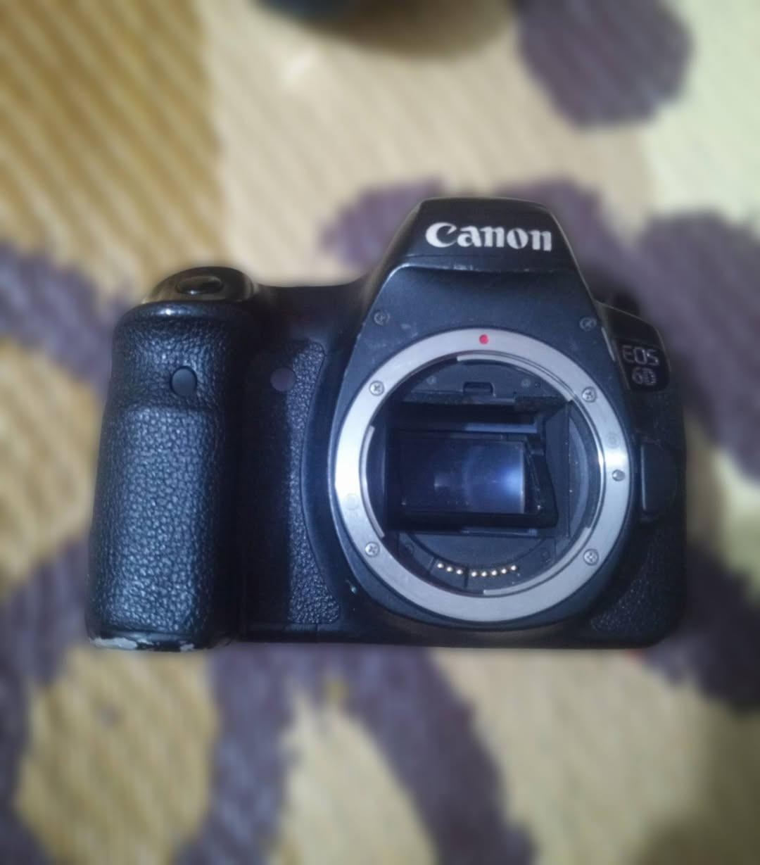 السلام عليكم
كامرا كانون 6d  للبيع مع كامل ملحقاتها 
كيبل شحن 
بطاريتين شحن 
استان أحادي 
مع رام 16 كيكه 
زوم رياضي 28/300
مع جنطه مال كامرا


**إذا كنت صاحب هذا الإعلان وتريد حذفه لأي سبب، رجاءا أرسل رسالة إلى الدعم الفني**