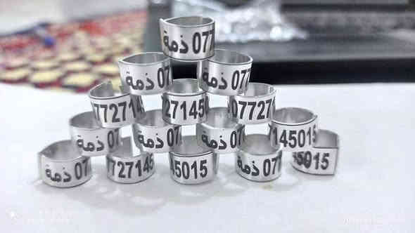 📣 جميع أنواع الحلقات والحجول الأصلية متوفّرة الآن 🔥
فافون • بلاستك • جلاتين — كلها بضمان جودة عالية 💯

💰 السعر: 100 حلقة بـ 9,000 دينار فقط
🚚 متوفر توصيل لكل محافظات العراق 🇮🇶

📩 للحجز أو الاستفسار:
📞 واتساب  :  *********** 

#طيور #طيور_زينة #حلقات_طيور #حجول #مستلزمات_طيور #تربية_طيور #طيور_العراق #عراق #منتجات_طيور #طباعة_حسب_الطلب

+++mIPcAxkNbmQvMQZZfg+++++
---------___980141890422847444____--------
-/*/-*/-*/Will
