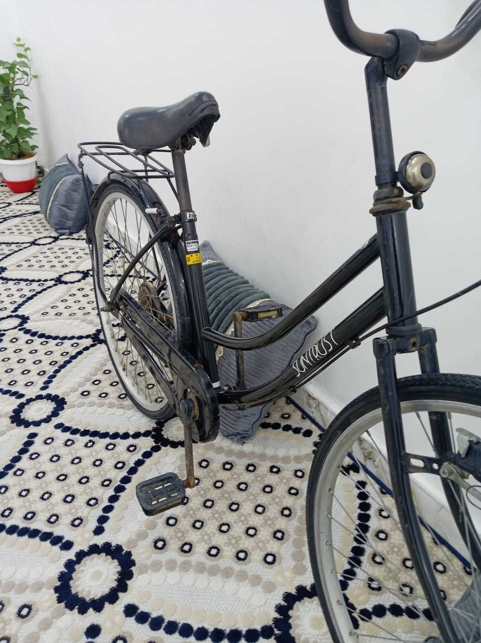 سلام عليكم عليكم باسكلات للبيع فقط نضيفات الأسود ب 85 وبي مجال و الازرق جديد مستخدم شهر واحد شرط نضافه ب 160 وبي مجال للشراي مو شراي لا تعبني


**إذا كنت صاحب هذا الإعلان وتريد حذفه لأي سبب، رجاءا أرسل رسالة إلى الدعم الفني**