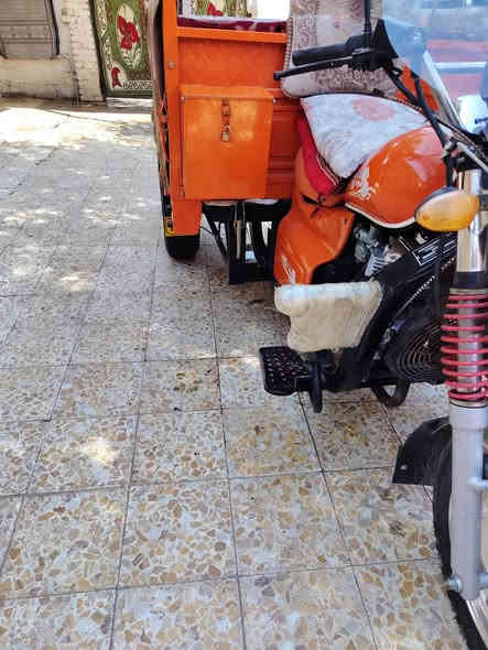 ستوته فرس البيع موديل 23وارق ميسان فضاء المجر ***********
