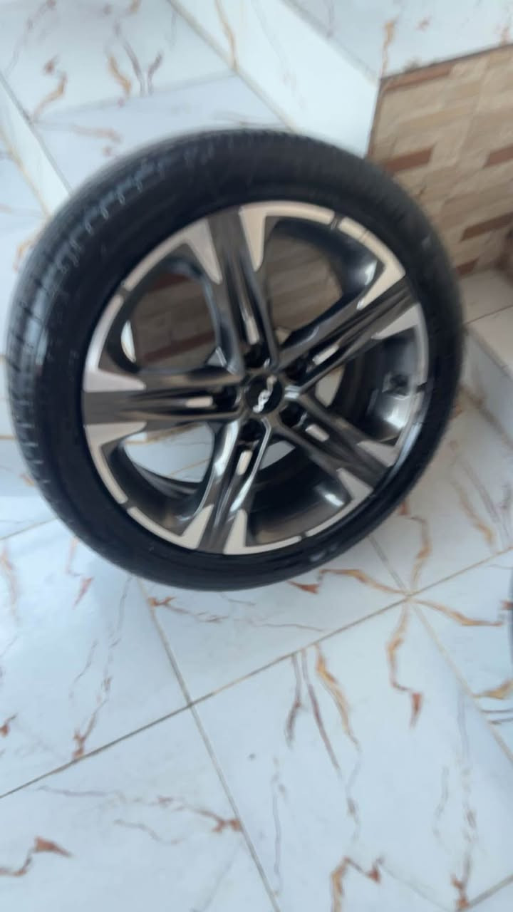 ويل كب لبيع البصرة, العراق


**إذا كنت صاحب هذا الإعلان وتريد حذفه لأي سبب، رجاءا أرسل رسالة إلى الدعم الفني**