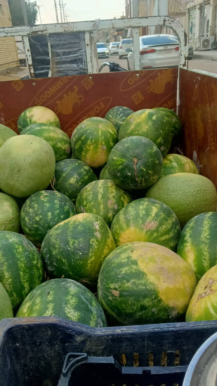 منو محتاج عامل ركي او محل قذاية يراسلني ***********
