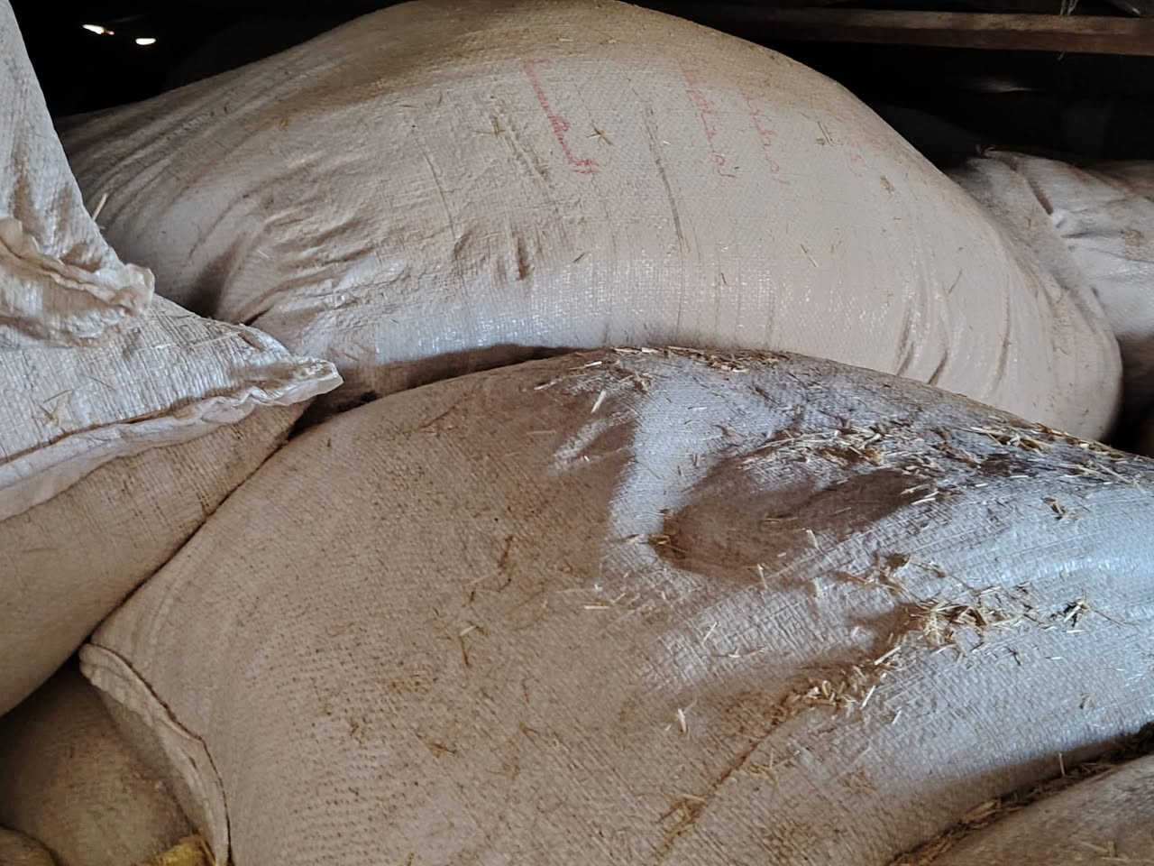 السلام عليكم اخوان متوفر تبن ابيض وناعم مثل ما موضح بالصورة سعر الزوج 4500 جيس ابو 60 شرط تبن درجه اولى
للاستفسار
***********
#ادمن وافق
