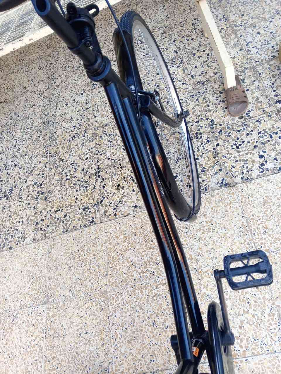 للبيع او مراوس اب باسكل عبد الحليم 
للبيع باسكل عبد الحليم حجم 26موديل 2020فول نضافه ما شحن مكاني موصل


**إذا كنت صاحب هذا الإعلان وتريد حذفه لأي سبب، رجاءا أرسل رسالة إلى الدعم الفني**