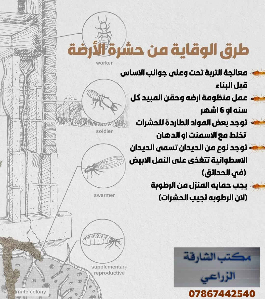 #الأرَضة تهديد صامت لكنه خطير على بيتك وعائلتك يهاجم الخشب والبنية التحتية تدريجياً بدون ما تلاحظ ومع الوقت يتسبب بأضرار كبيرة ومكلفة

لهذا السبب الفحص المبكر ضروري حتى تحمي بيتك من التلف وتضمن سلامة الجميع

مكتب الشارقة الزراعي يوفر جهاز السونار الأسترالي المتطور الي يكشف الأرَضة بدقة عالية ومن غير ما تحتاج تكسر أو تسبب أضرار إضافية

بهالفحص نقدر نحدد وجود الأرَضة بسرعة ونوفر الحلول المناسبة قبل ما تتفاقم المشكلة

لا تنتظر لحد ما تصير الأضرار واضحة احجز فحص بيتك اليوم وخلي بيتك قوي وآمن وحافظ على راحتك وراحة أهلك

مكتب الشارقة الزراعي الأول في العراق لمكافحة حشرة الأرضة وجميع أنواع الحشرات وبخبرة وكفاءة عالية في المجال

نعمل في جميع محافظات العراق 🇮🇶 

سارع الان بأتخاذ القرار الصحيح وتخلص من حشرة الارضة

♦️موقعنا : بغداد ناحية الرشيد

للاستفسار الاتصال:
***********
***********
