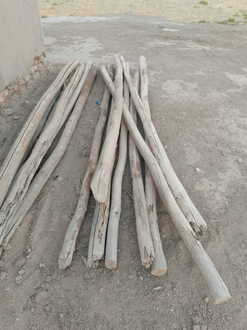 البيع العدد 14


**إذا كنت صاحب هذا الإعلان وتريد حذفه لأي سبب، رجاءا أرسل رسالة إلى الدعم الفني**