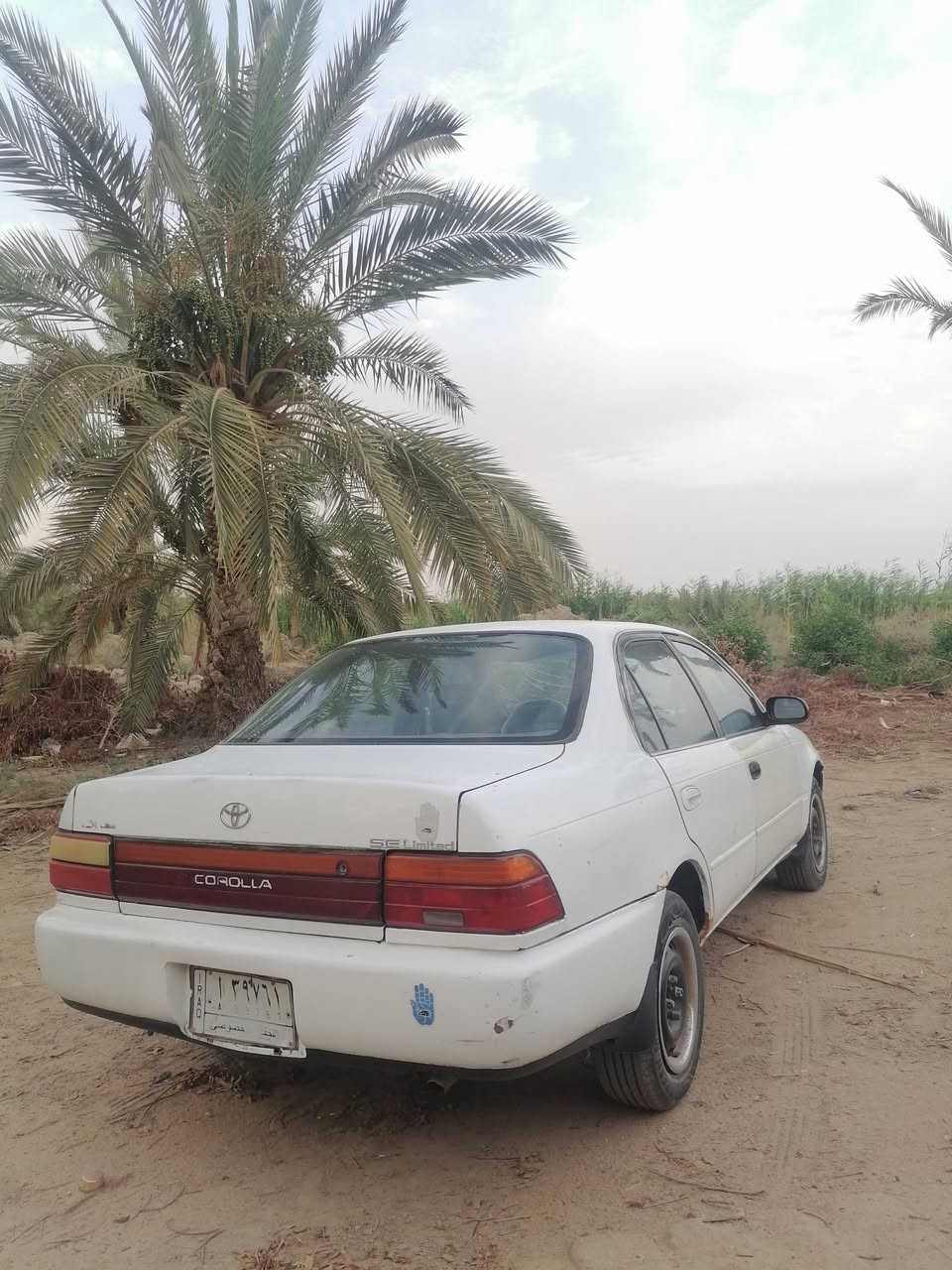 سلام عليكم سيارة كورلا للبيع بأسمي سنوية ماساقطة رقم نجف للاتصال والاستفسار *********** تبريد مابيها ولا ضربة تخم تاير السعر 47 مكان ناصرية سوق الشيوخ
