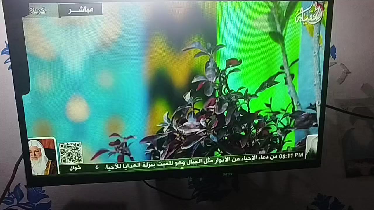 بلازما جينرال جديده ب100وبيه مجال صورته وصوته كلش حلوات


**إذا كنت صاحب هذا الإعلان وتريد حذفه لأي سبب، رجاءا أرسل رسالة إلى الدعم الفني**