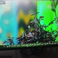 بلازما • جينرال • صوت وصورة