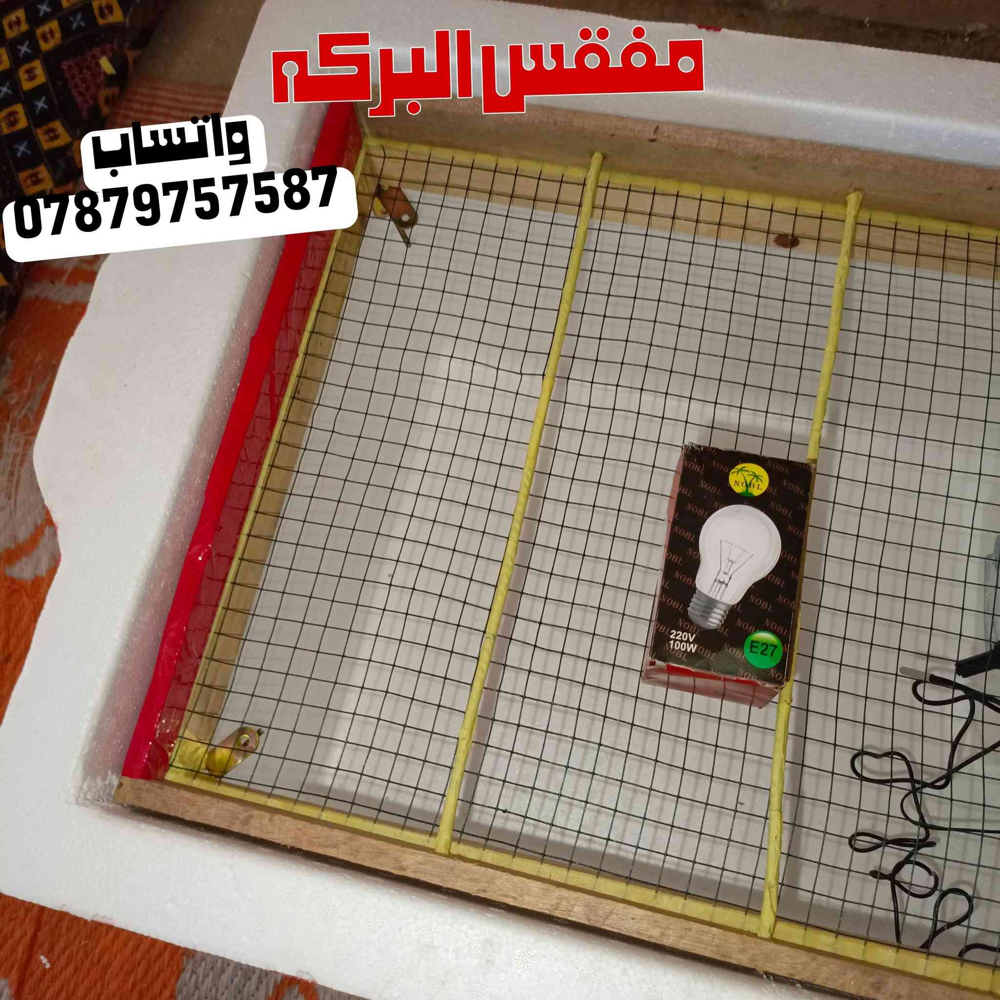 اسلام عليكم متوفر فقاسه بسعر مناسب تقليب يدوي وخارجي  الي يعجبك وشرط التفقيس
#ملاحضه اراوس بحلال شعندك بط مصري فسيفس 

واتساب ***********
