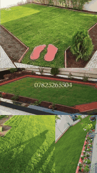 🔸 ترتيب وتنظيم الحدائق ☘️ 🔸 زراعة شتلات وأشجار زينة🌹 🔸 تقليم وتعديل ال...