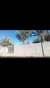 بيت ركن • ٥٠٠م • طابو زراعي