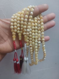 كهرب بولوني • حر طبيعي • توصيل