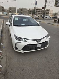 ٢٠٢٥ • رقم بغداد • البصرة