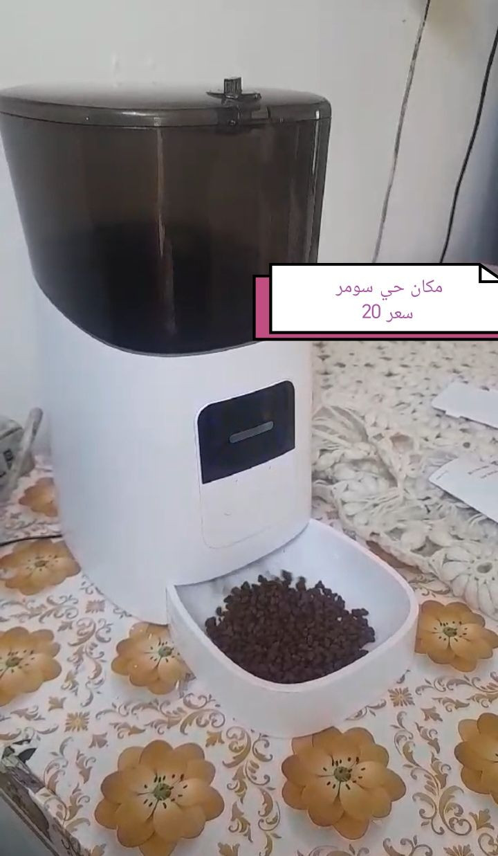 للبيع 
مكان بغداد حي سومر


**إذا كنت صاحب هذا الإعلان وتريد حذفه لأي سبب، رجاءا أرسل رسالة إلى الدعم الفني**