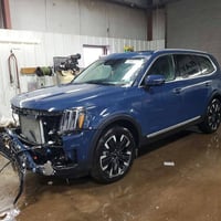 تيلورايد • ٢٠٢٥ • مزاد النجف