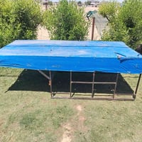 جنج • أخضر • اكسسوار سيارات