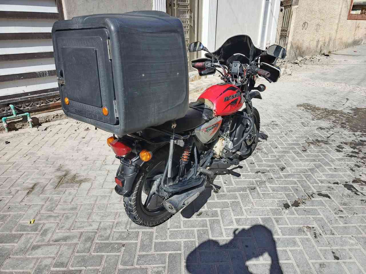 دراجه بوكسر جبلي موديلي 2023
كفاله عامه نضفيه سعره 2300
رقمي ***********
عنوان بغداد مدينه
