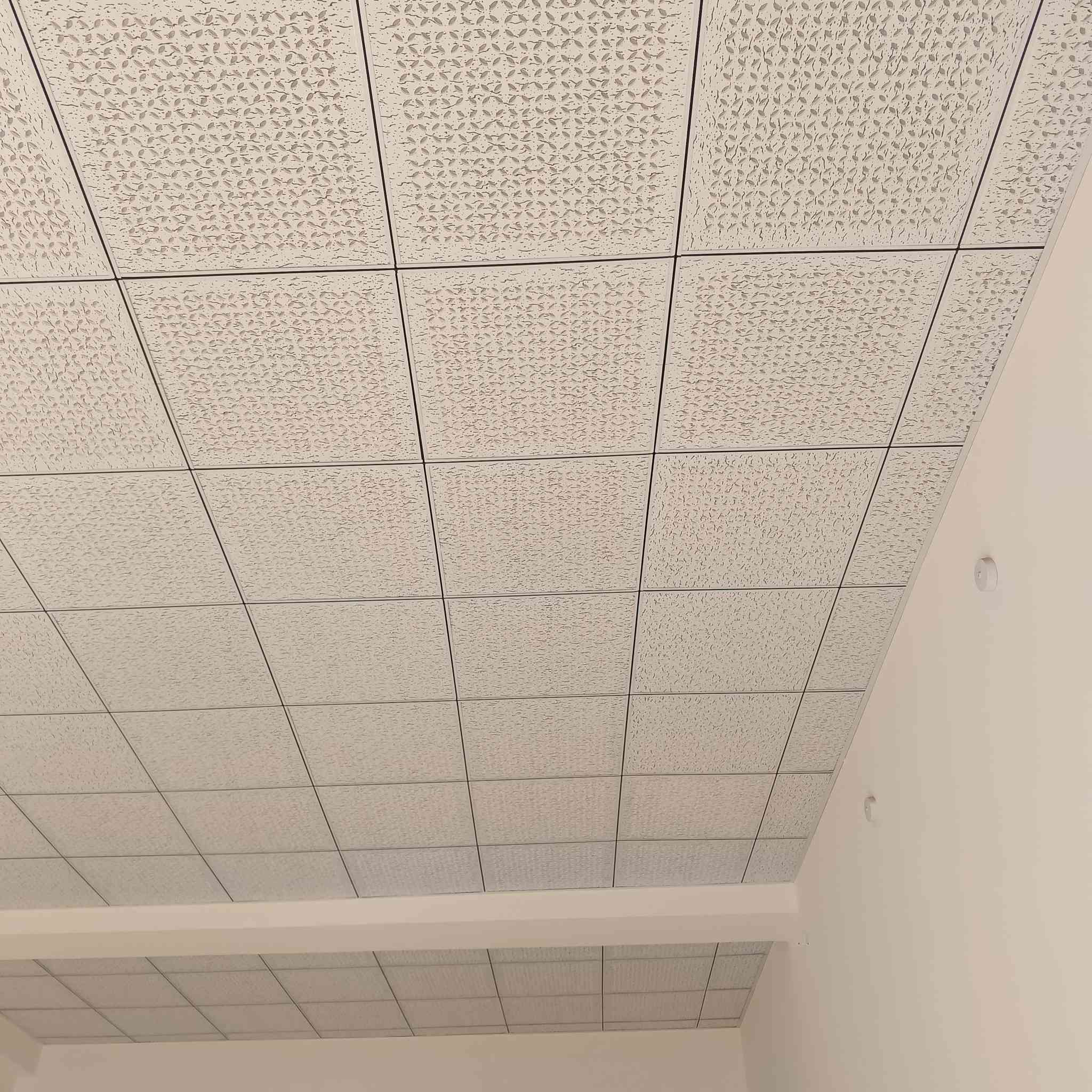 الحمدلله
تم إنهاء محل أحد الزبائن في كربلاء 

سقف ثانوي وصبغ 

بسعر مناسب وبوقت قياسي 

***********
نيو ديز للديكورات والاصباغ New days
