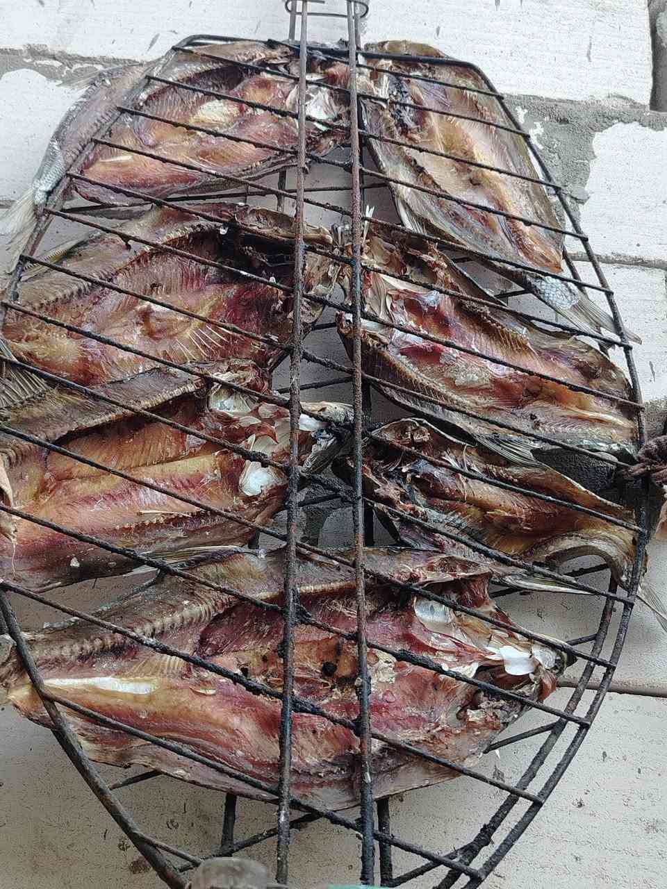 سمك شلك للمصموطه يابس وجاهز ٣قطع ب٥تالاف
العنوان تقاطع حي شهداء الثاني يوجد توصيل ***********
