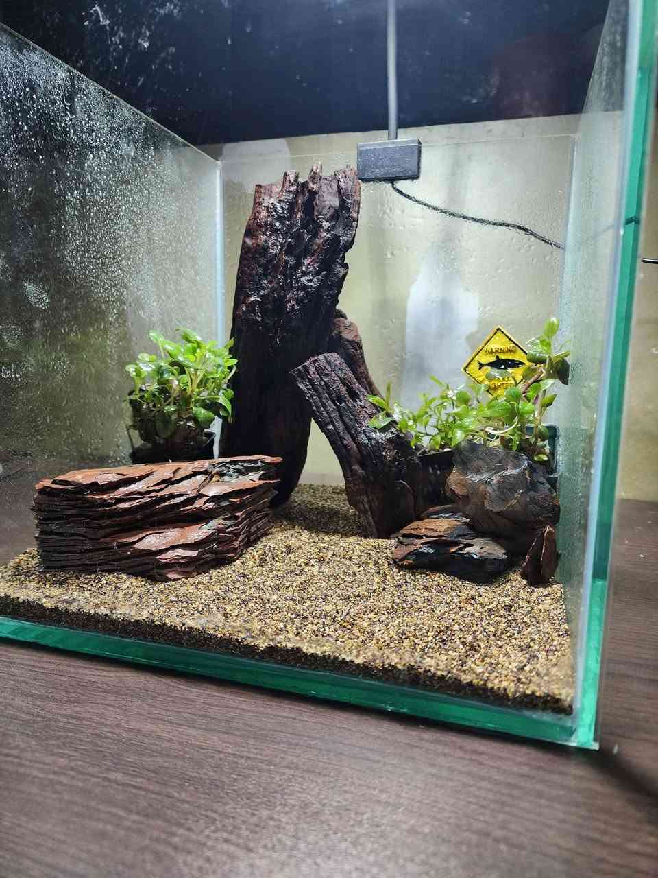 حوض قياس30×30×30🐠
بتصميم جديد 🍀🌧✨️
يحتوي على
رمل طبيعي 
حجر طبيعي🪨
نبات طبيعي🍀
فلتر هانك (شلال):لتنقية المياه وتنضيف الشوائب
اناره LED:متغيرة الالوان
هيتر :للحفاض على درجة حرارة المياه في الحوض 
قطعة ديكور 
كل هذا ب٦٠ الف دينار✅️
يوجد توصيل لجميع المحافضات🚚


**إذا كنت صاحب هذا الإعلان وتريد حذفه لأي سبب، رجاءا أرسل رسالة إلى الدعم الفني**