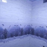 الجزيره • ١٠٠م • غرفتين