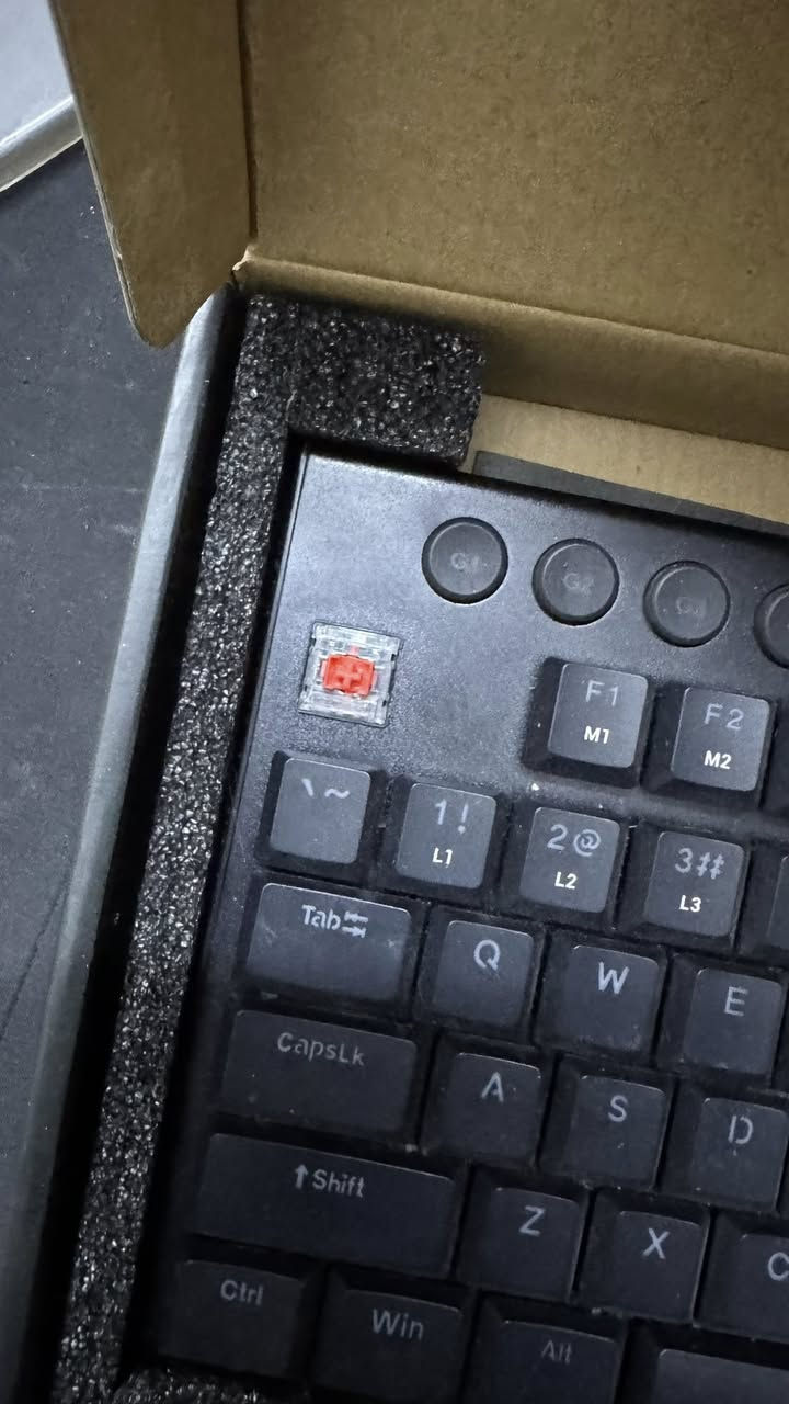 Redragon YI TKL Mechanical Keyboard
نوعه: ميكانيكل (Mechanical)
 • حجم: TKL يعني بدون Numpad الصغير مال الأرقام على اليمين
 • إضاءة: RGB / Chroma
 • سويتشات: Red Switch (Dust-Proof Red)
 • مناسب للألعاب والكتابة السريعة 🎮⌨️

معنى TKL:
TenKeyLess يعني الكيبورد أصغر من الكامل حتى يعطي مساحة أكثر للماوس.
مستعمل نظيف جداً على گد الفحص مو مال امزون ولا هالسوالف شتريتها لان انهجبت بشكلها لكن ماستعملتة لان عندي لوجتك مغناطيسي كلكاتها  
مكان كركوك وسعر ٤٠ وبيها مجال


**إذا كنت صاحب هذا الإعلان وتريد حذفه لأي سبب، رجاءا أرسل رسالة إلى الدعم الفني**