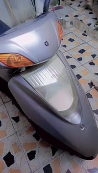 بريز • ٥شهور • حيور