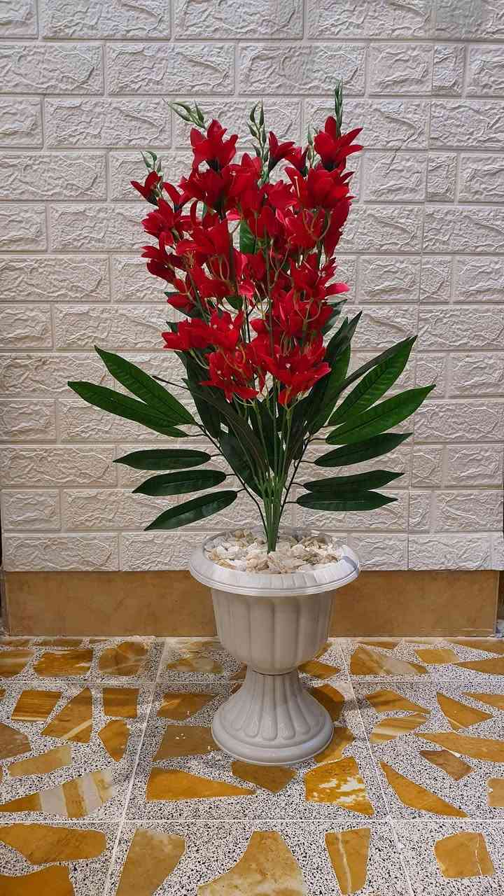 ❤️عرررض خاص لفترة محدودة ❤️


**إذا كنت صاحب هذا الإعلان وتريد حذفه لأي سبب، رجاءا أرسل رسالة إلى الدعم الفني**