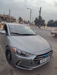 مكفولة • كامل الأوراق