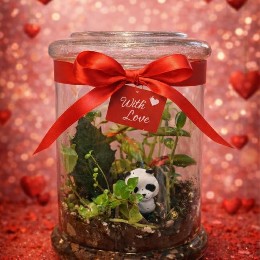 ❤️🌿 عيد حب مختلف… داخل تيراريوم أنيق 🌿❤️  

مو كل الهدايا تُنسى…  
بعضها يبقى يعيش ويكبر قدامكم 💚✨  

من جورية للنباتات Jouriyyah_plants  
نجهّزلك تيراريوم رومانسي أنيق  
بتغليف فاخر… وبطاقة حب بأحلى الكلمات 💌  

💝 تيراريوم جاهز للإهداء  
🌿 تصميم راقي داخل الزجاج  
✨ ذكرى تدوم مثل حبكم  

حبنا مثل هالتيراريوم… عالم صغير مليان حياة ❤️🌿  

احجز هديتك اليوم…

📍 زورونا أو تواصلوا معنا لاختيار نباتاتكم المفضلة
الكندي الاولى السايدين المؤدي للكندي الثانية ومصنع الكندي 
مجاور لحم بعجين الكوخ ومكتب الكندي للعقار
#ديكور #موصل #نباتات _ #استشارات #زراعية #Jouriyyah_plants #هدايا #سمك #فايتر
#غابتي_الصغيرة #plantlover


**إذا كنت صاحب هذا الإعلان وتريد حذفه لأي سبب، رجاءا أرسل رسالة إلى الدعم الفني**